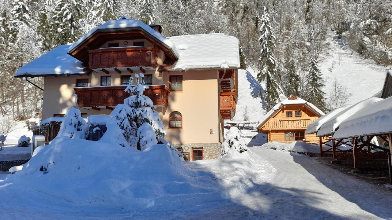 Apartma In Bungalov Jezerci Gozd Martuljek Luaran gambar